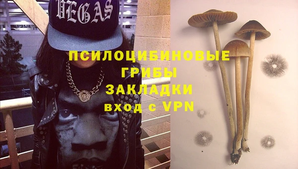 прущие крисы Алексин