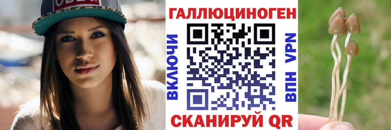 Псилоцибиновые грибы MAGIC MUSHROOMS  закладка  Абакан 