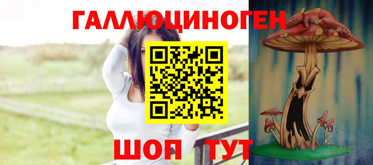 Галлюциногенные грибы Psilocybe Абакан